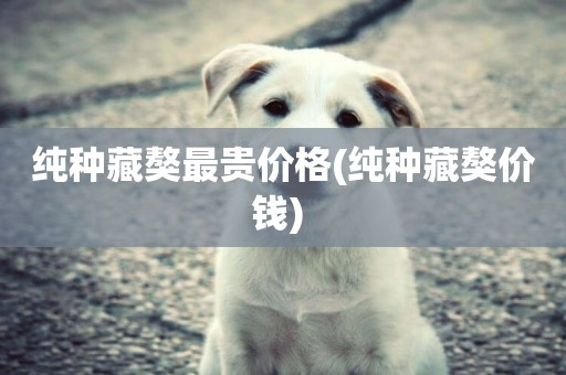 純種藏獒最貴價格(純種藏獒價錢) 