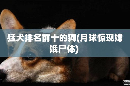 猛犬排名前十的狗(月球驚現嫦娥尸體) 