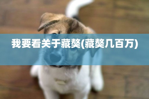 我要看關于藏獒(藏獒幾百萬) 