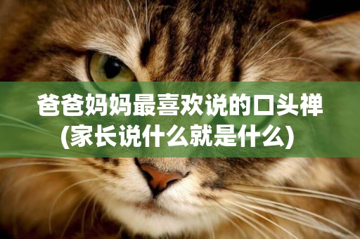 爸爸媽媽最喜歡說的口頭禪(家長說什么就是什么) 