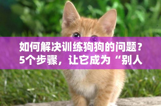 如何解決訓練狗狗的問題？5個步驟，讓它成為“別人家的毛孩子” 