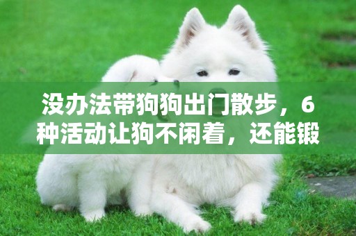 沒辦法帶狗狗出門散步，6種活動讓狗不閑著，還能鍛煉大腦 