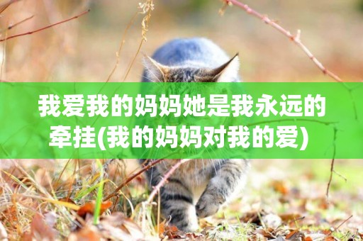我愛我的媽媽她是我永遠的牽掛(我的媽媽對我的愛) 