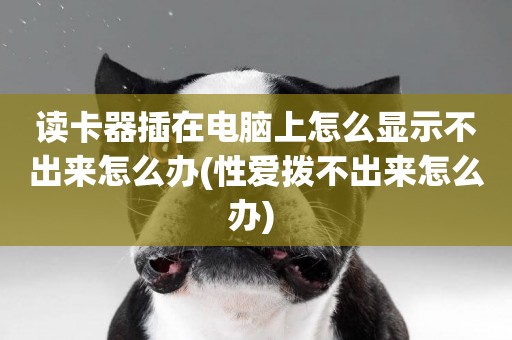 讀卡器插在電腦上怎么顯示不出來怎么辦(性愛撥不出來怎么辦) 