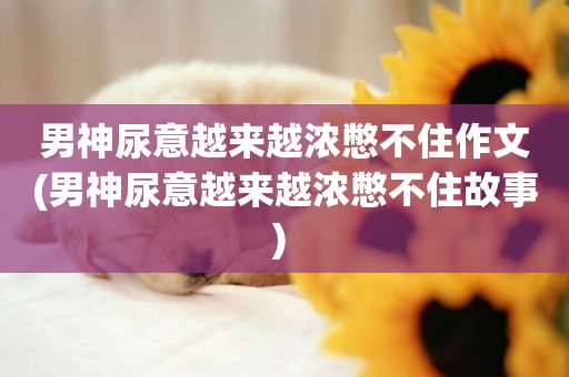 男神尿意越來越濃憋不住作文(男神尿意越來越濃憋不住故事) 