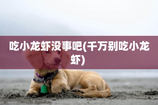 吃小龍蝦沒事吧(千萬別吃小龍蝦) 