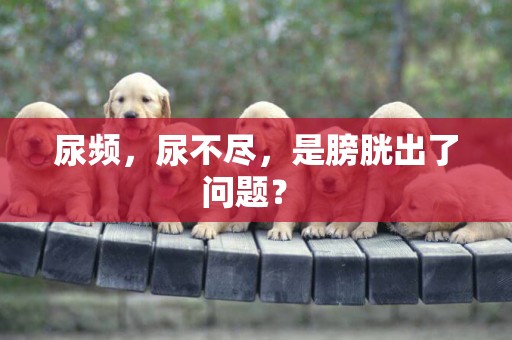 尿頻，尿不盡，是膀胱出了問題？ 
