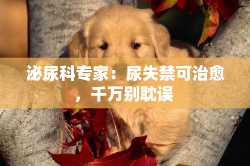 泌尿科專家：尿失禁可治愈，千萬別耽誤 