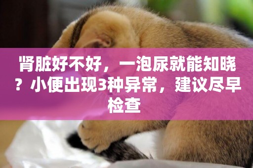 腎臟好不好，一泡尿就能知曉？小便出現3種異常，建議盡早檢查 