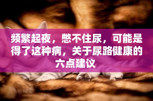 頻繁起夜，憋不住尿，可能是得了這種病，關于尿路健康的六點建議 
