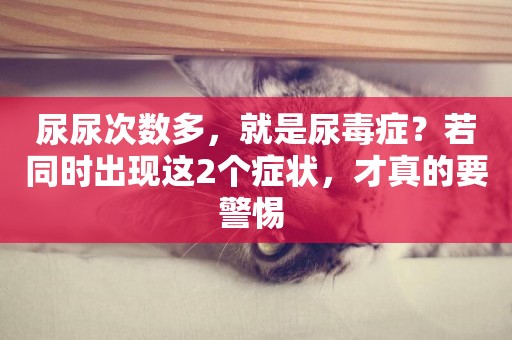 尿尿次數多，就是尿毒癥？若同時出現這2個癥狀，才真的要警惕 