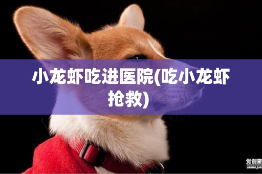 小龍蝦吃進醫院(吃小龍蝦搶救) 