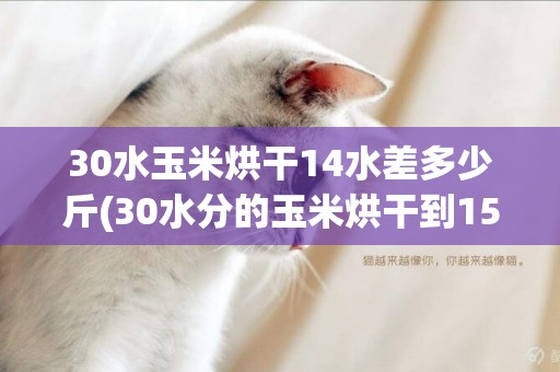 30水玉米烘干14水差多少斤(30水分的玉米烘干到15水分一噸多少費用) 
