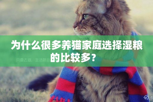 為什么很多養貓家庭選擇濕糧的比較多？ 