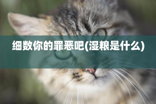 細數你的罪惡吧(濕糧是什么) 