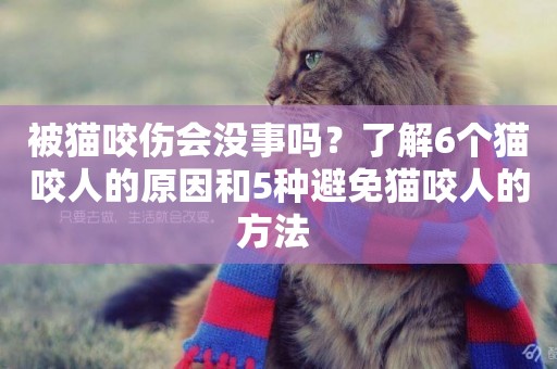 被貓咬傷會沒事嗎？了解6個貓咬人的原因和5種避免貓咬人的方法 
