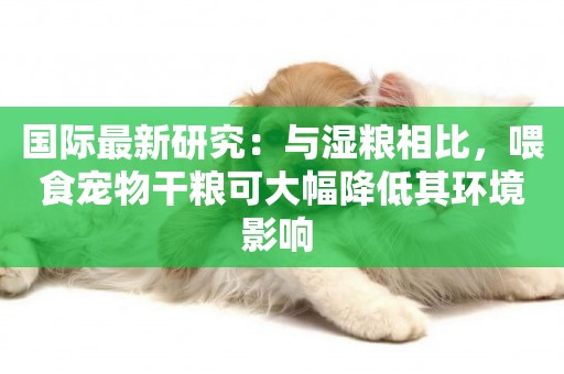 國際最新研究：與濕糧相比，喂食寵物干糧可大幅降低其環境影響 