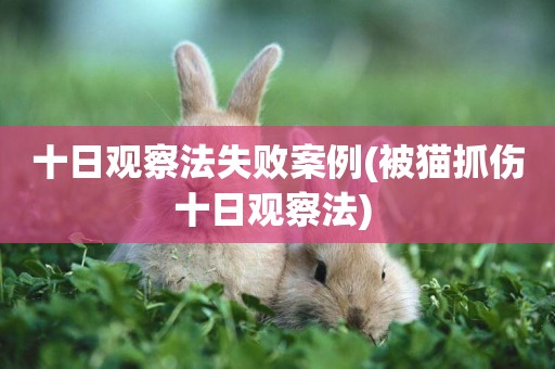十日觀察法失敗案例(被貓抓傷十日觀察法) 