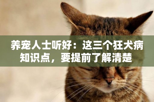 養寵人士聽好：這三個狂犬病知識點，要提前了解清楚 