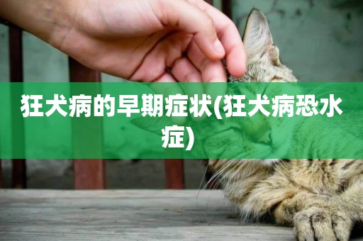 狂犬病的早期癥狀(狂犬病恐水癥) 