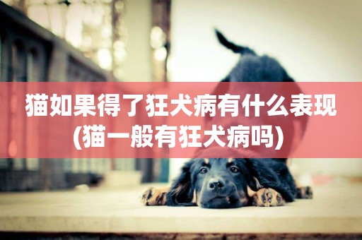 貓如果得了狂犬病有什么表現(貓一般有狂犬病嗎) 