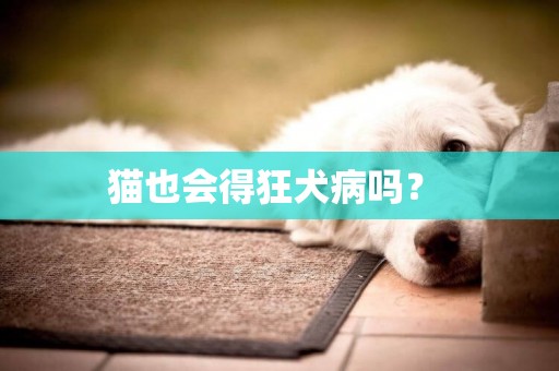 貓也會得狂犬病嗎？ 