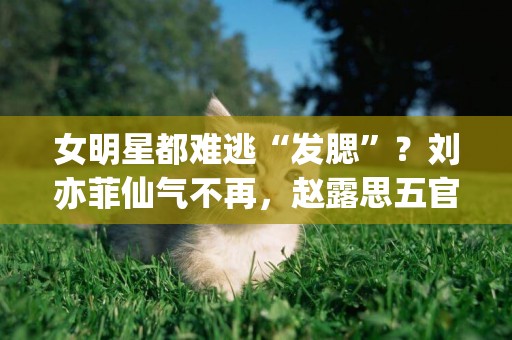 女明星都難逃“發腮”？劉亦菲仙氣不再，趙露思五官集中顏值下滑 