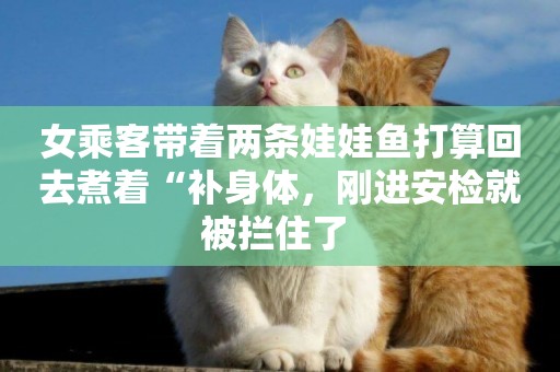 女乘客帶著兩條娃娃魚打算回去煮著“補身體，剛進安檢就被攔住了 