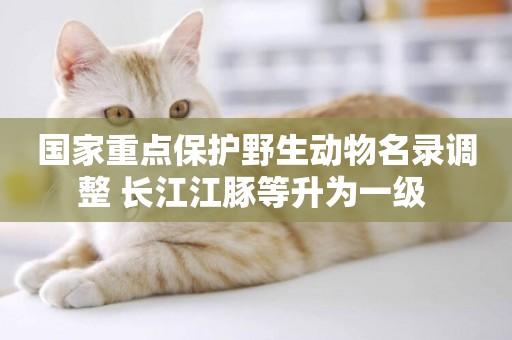 國家重點保護野生動物名錄調整 長江江豚等升為一級 