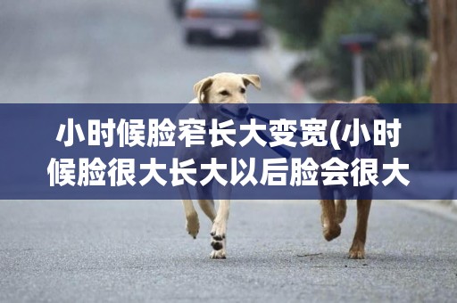 小時候臉窄長大變寬(小時候臉很大長大以后臉會很大嗎) 
