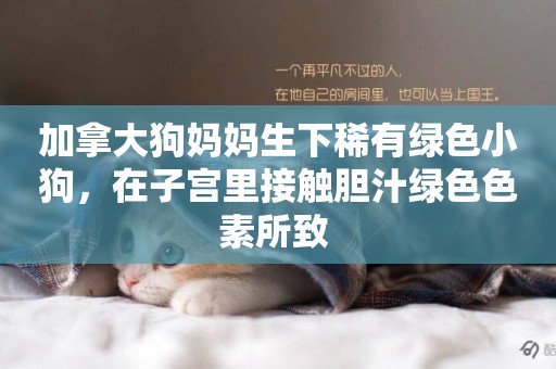 加拿大狗媽媽生下稀有綠色小狗，在子宮里接觸膽汁綠色色素所致 