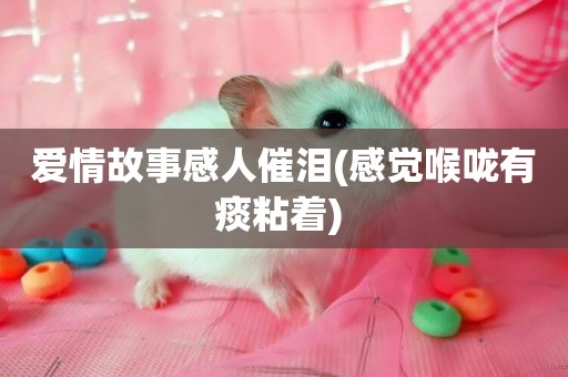 愛情故事感人催淚(感覺喉嚨有痰粘著) 