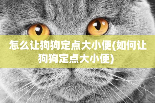 怎么讓狗狗定點大小便(如何讓狗狗定點大小便) 