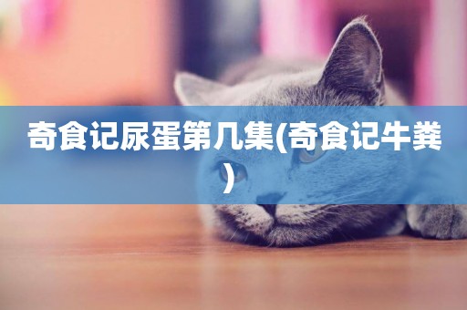 奇食記尿蛋第幾集(奇食記牛糞) 