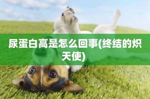尿蛋白高是怎么回事(終結的熾天使) 