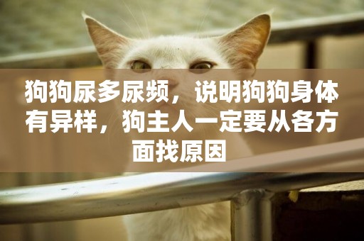 狗狗尿多尿頻，說明狗狗身體有異樣，狗主人一定要從各方面找原因 