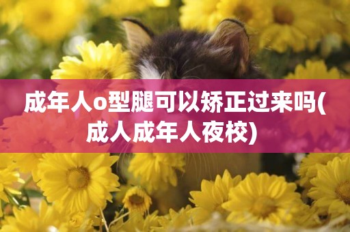 成年人o型腿可以矯正過來嗎(成人成年人夜校) 