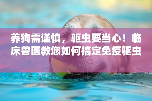 養狗需謹慎，驅蟲要當心！臨床獸醫教您如何搞定免疫驅蟲 