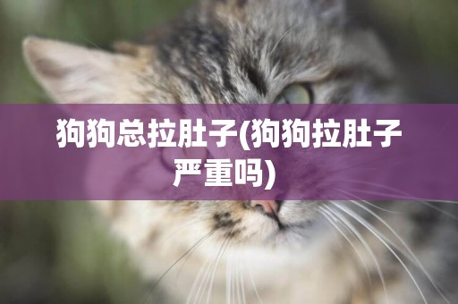狗狗總拉肚子(狗狗拉肚子嚴重嗎) 