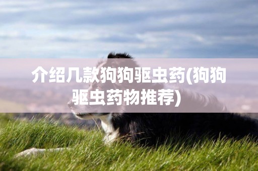 介紹幾款狗狗驅蟲藥(狗狗驅蟲藥物推薦) 