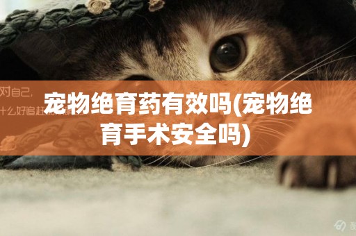 寵物絕育藥有效嗎(寵物絕育手術安全嗎) 