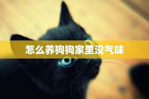 怎么養狗狗家里沒氣味