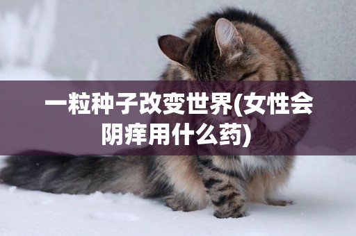 一粒種子改變世界(女性會陰癢用什么藥) 