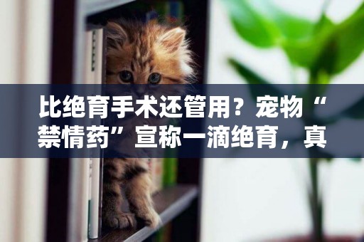 比絕育手術還管用？寵物“禁情藥”宣稱一滴絕育，真有這么神奇？ 