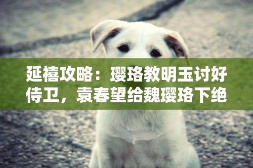 延禧攻略：瓔珞教明玉討好侍衛，袁春望給魏瓔珞下絕育藥 
