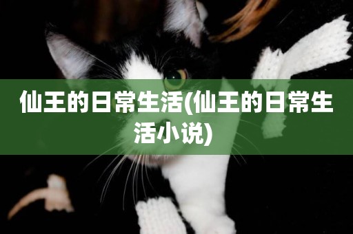 仙王的日常生活(仙王的日常生活小說) 