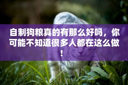 自制狗糧真的有那么好嗎，你可能不知道很多人都在這么做！ 