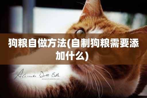 狗糧自做方法(自制狗糧需要添加什么) 