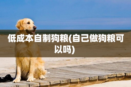 低成本自制狗糧(自己做狗糧可以嗎) 