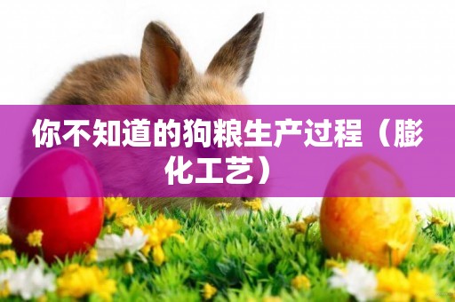 你不知道的狗糧生產過程（膨化工藝） 